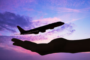 Silhouette Hand Flug